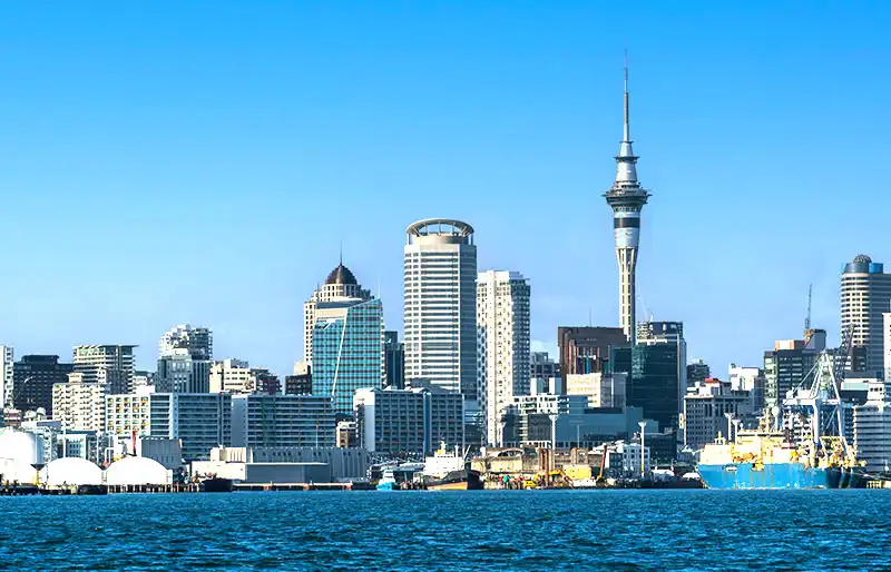 New Zealand Study Visa Consultants