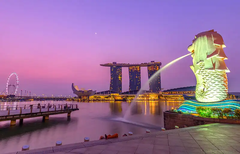 Singapore Study Visa Consultants